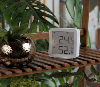 Why 87% of Homes Are Battling Humidity Issues – And How You Can Stop It Today