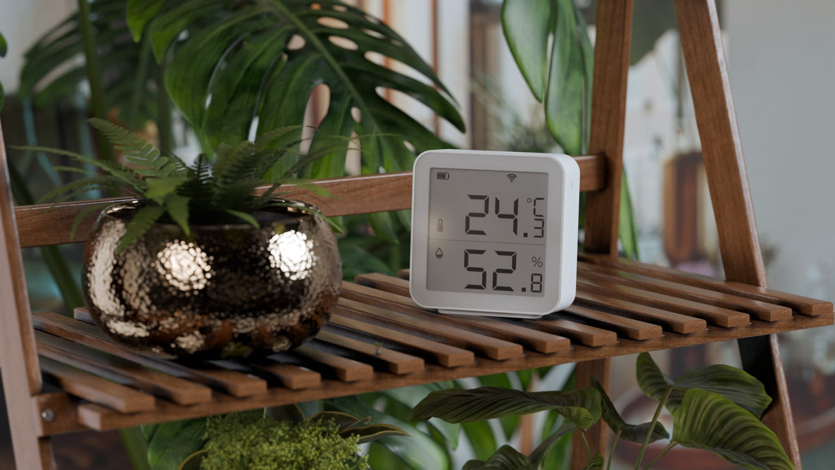 Stop Home Humidity Problems with Bulp Smart Hygrometer